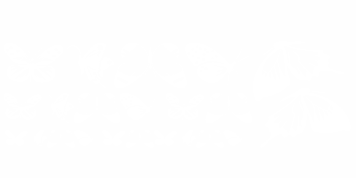 Autoaufkleber Set Schmetterlinge