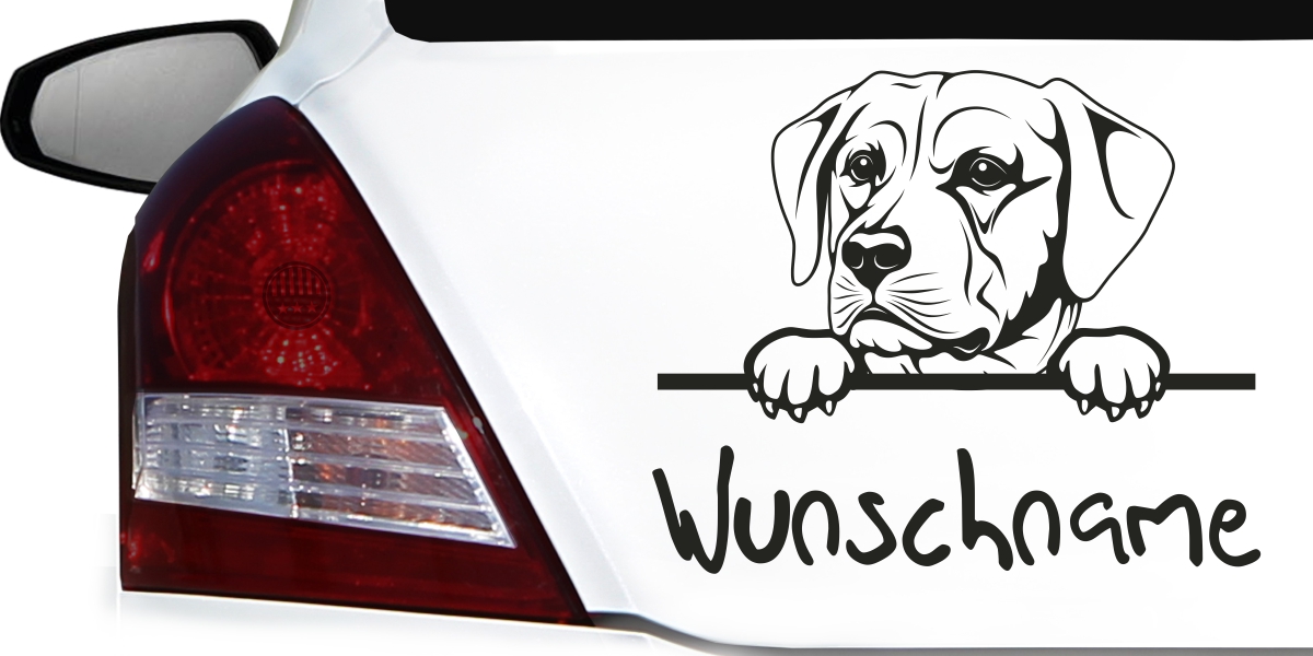 Autoaufkleber Sticker Autofolie Aufkleber Evolution Hund Labrador 