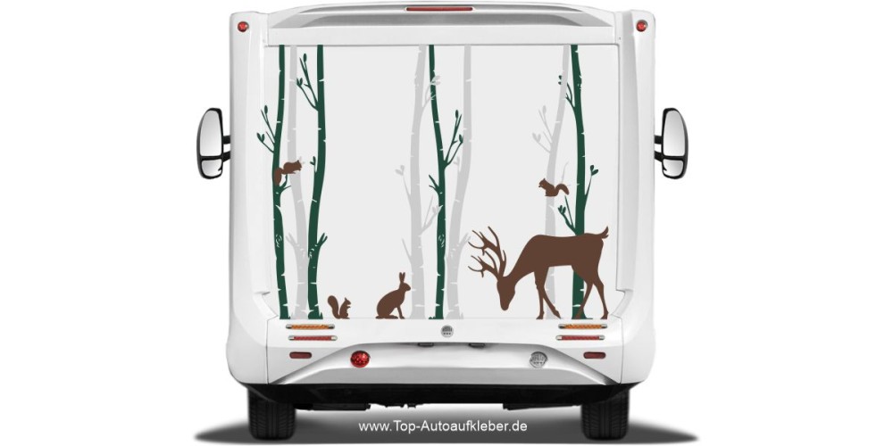 Wohnmobilaufkleber Birkenwald