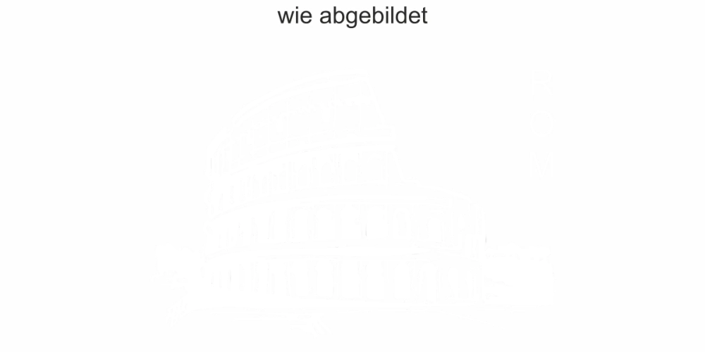 Wohnmobilaufkleber Rom - Ansicht Ausrichtung und Farbauswahl Wohnmobilaufkleber Rom - Ansicht Ausrichtung und Farbauswahl