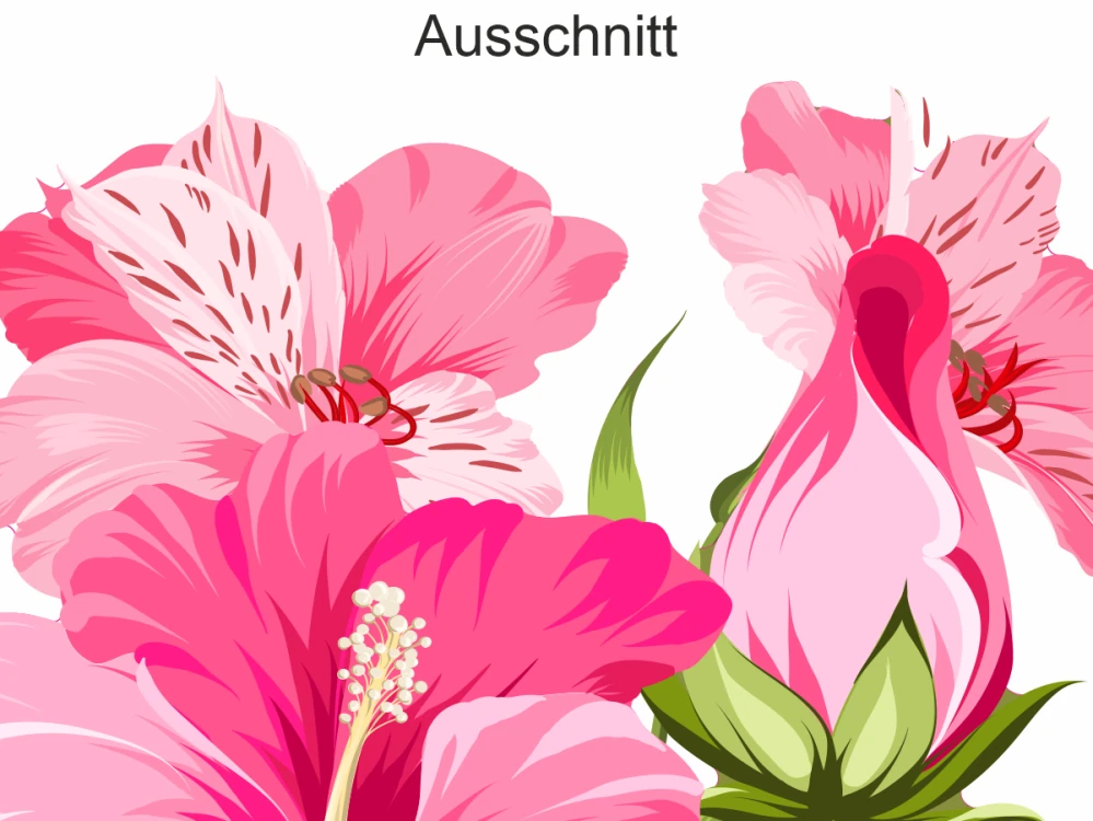 Autoaufkleber Blüten Set Hibiskus - Ansicht Ausschnitt