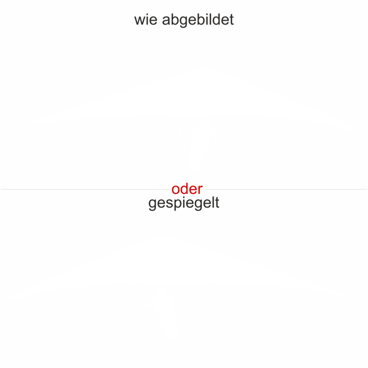 Aufkleber Drachenflieger Autoheck