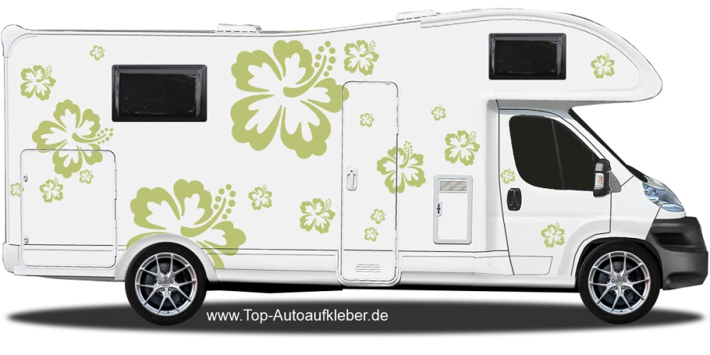 Aufkleber Hibiskus Blüten auf hellem Wohnmobil