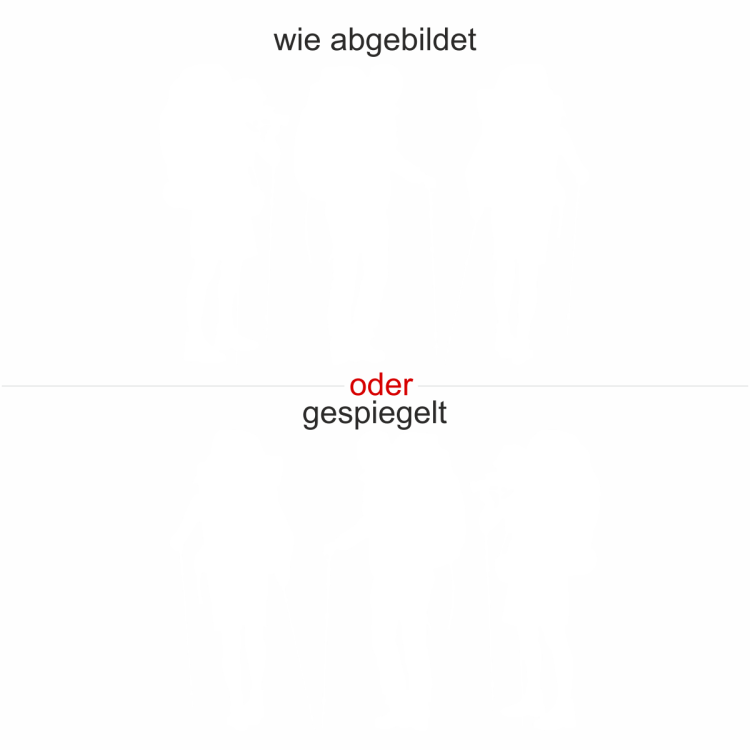 Aufkleber Wandergruppe Heckscheibe