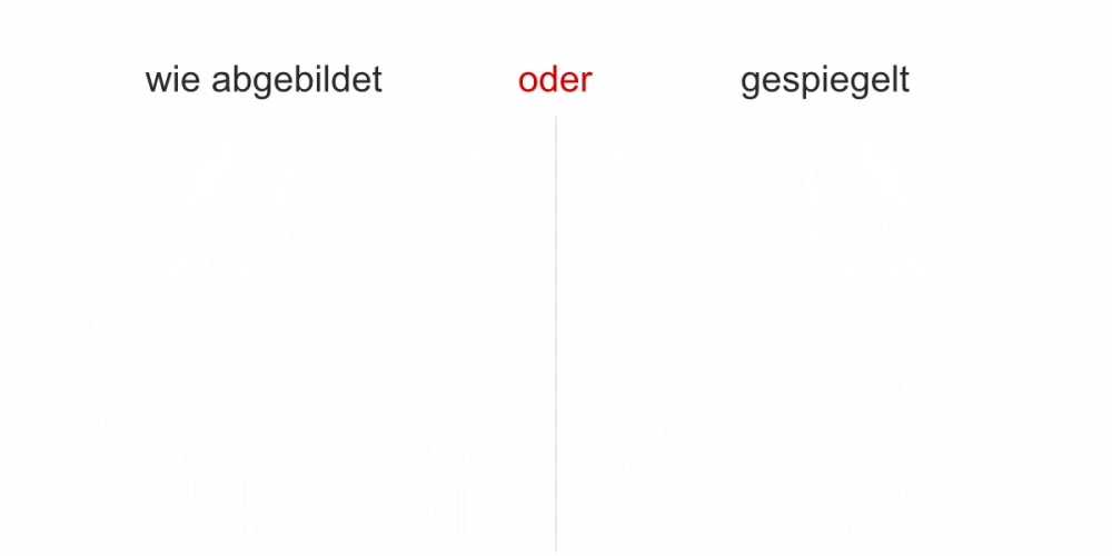 Aufkleber Wildgräser - Ansicht Ausrichtung und Farbauswahl