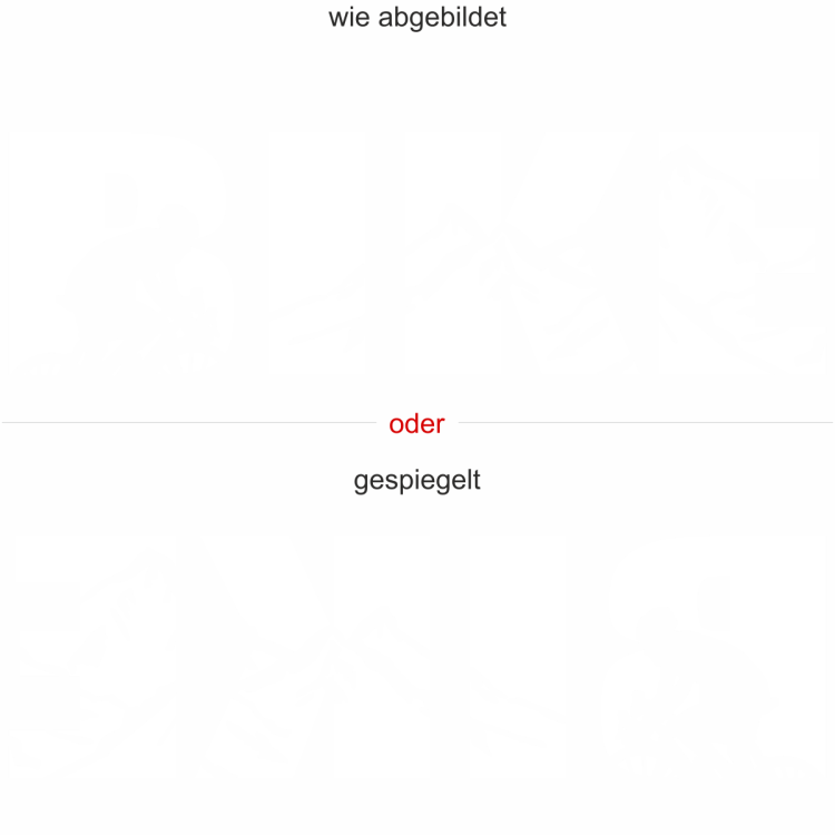 Autoaufkleber Bike