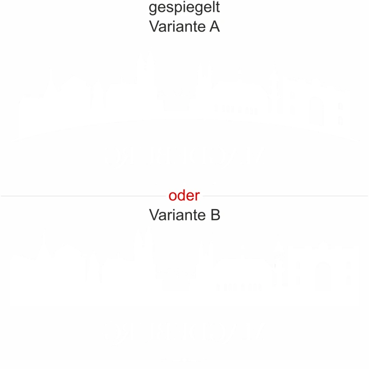 Magdeburger Skyline als Aufkleber für die Heckscheibe - Ansicht Ausrichtung mit Farbauswahl und Variante
