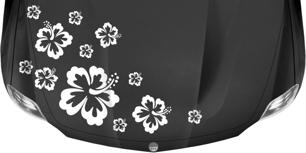 Autoaufkleber Hibiskus Blüten auf dunkler Motorhaube - Ansicht Farbauswahl