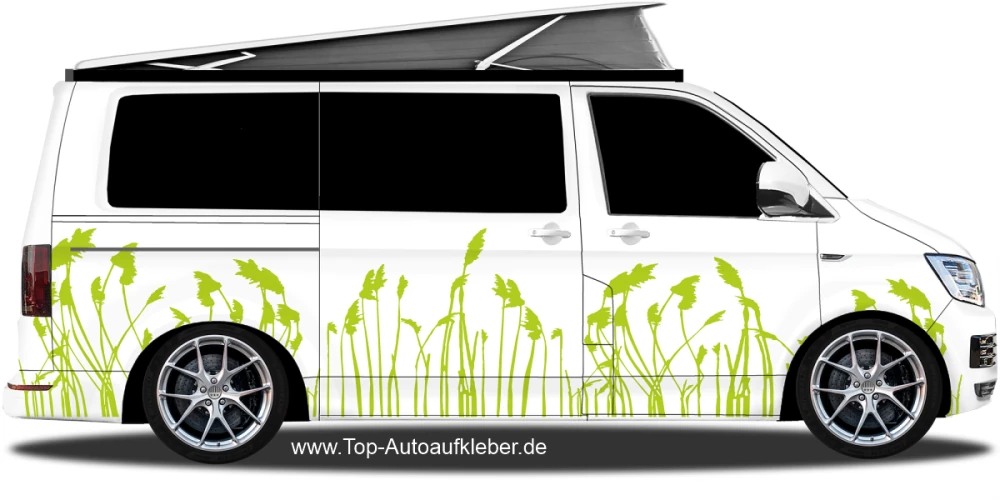 Autoaufkleber Naturgräser