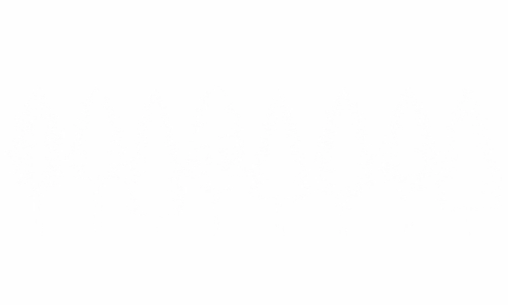 Autoaufkleber Strichzeichnung Bäume | Frei platzierbares Set