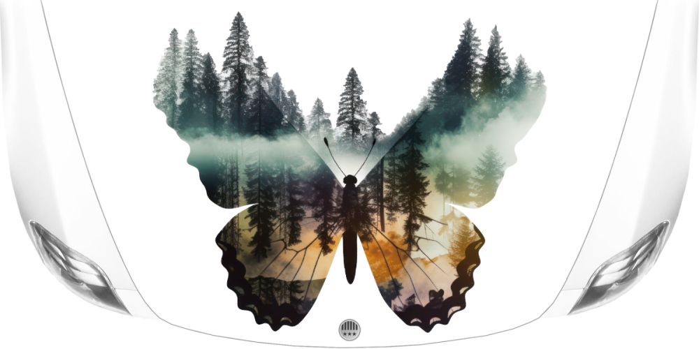 Autodekor Naturdesign Schmetterling auf weißer Motorhaube