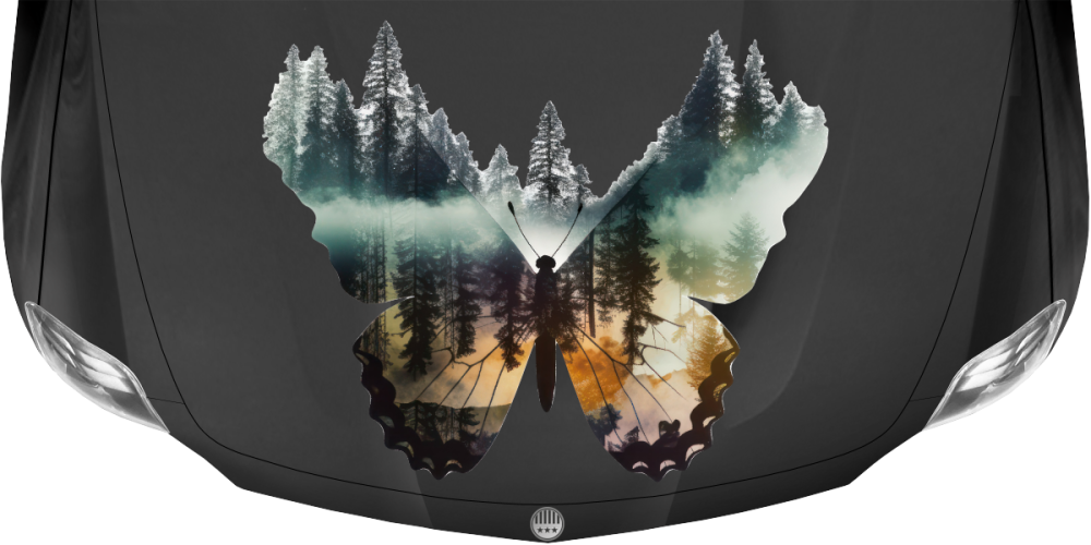 Autodekor Naturdesign Schmetterling auf dunkler Motorhaube