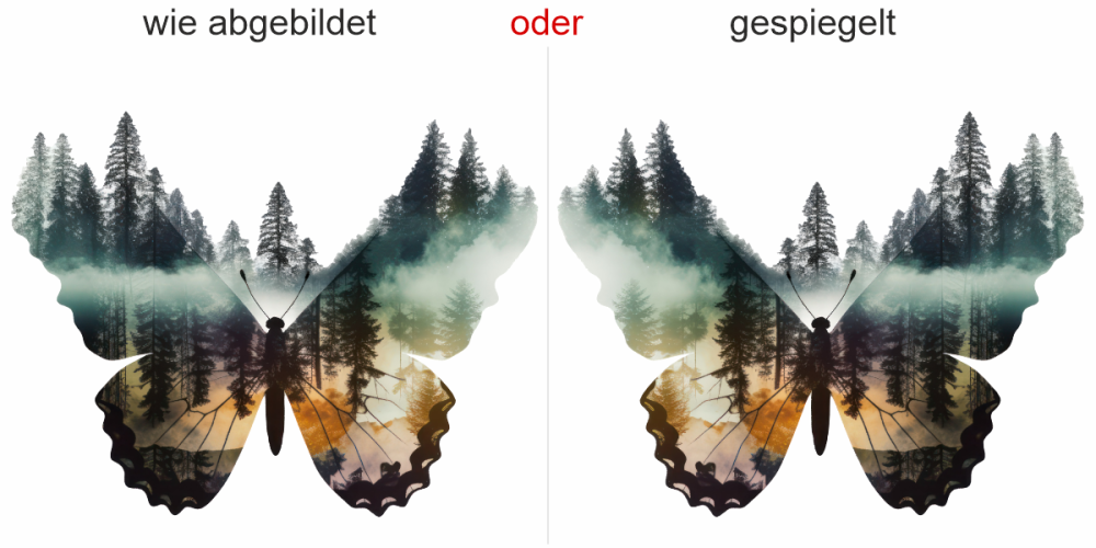Autodekor Naturdesign Schmetterling- Ansicht Ausrichtung