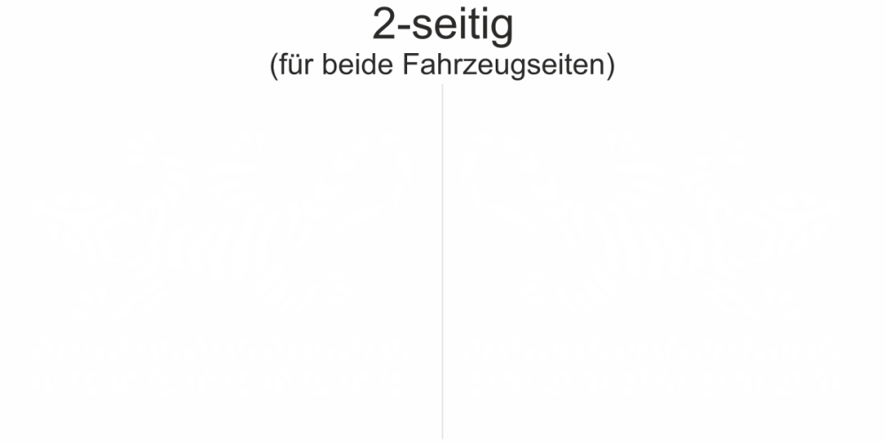 Autofolie Echse | Set für beide Fahrzeugseiten