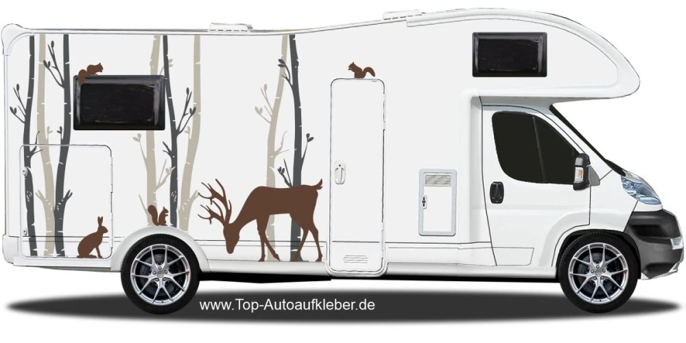 Camperaufkleber Birkenwald auf Wohnmobil Camperaufkleber Birkenwald auf Wohnmobil