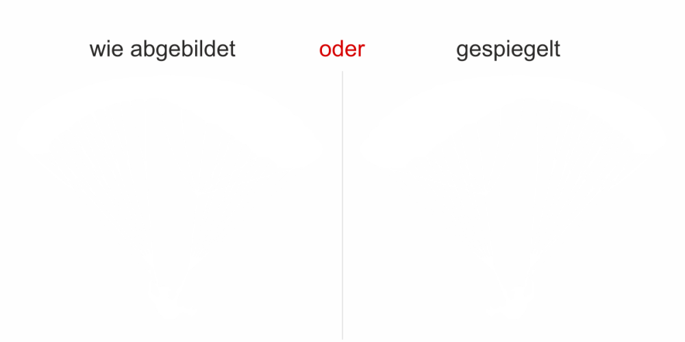 Camperdekor Gleitschirmfliegen