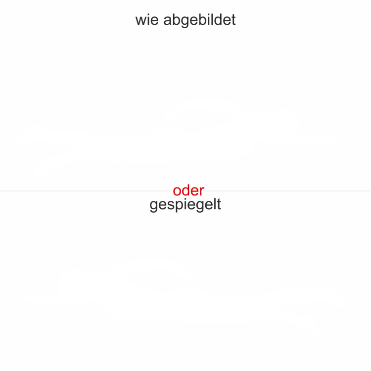 Heckscheibendekor Schwimmen