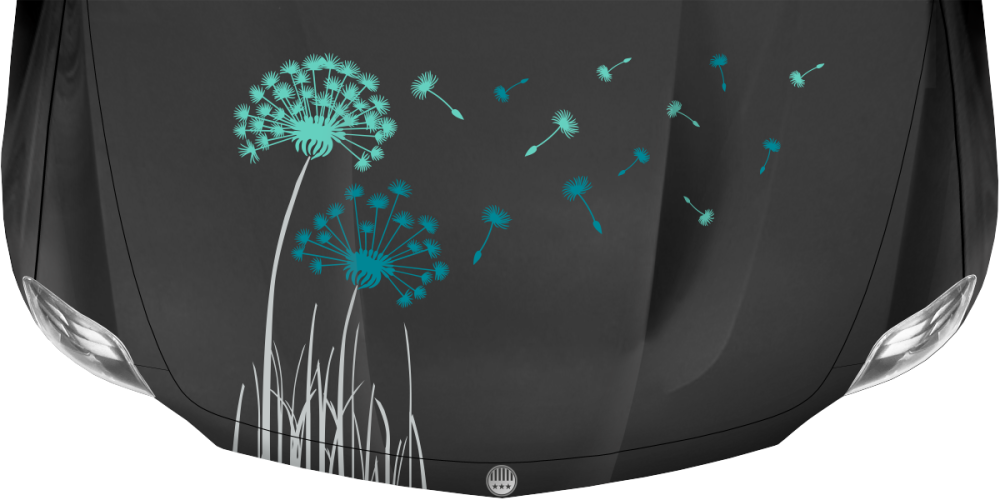 Motorhaubenaufkleber Bunte Pusteblume