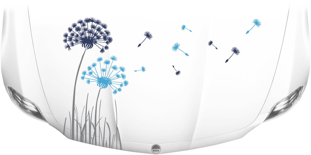 Bunte Pusteblume als Aufkleber für Ihre Motorhaube