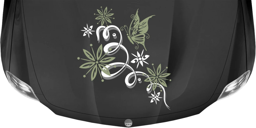 Bunter Motorhaubenaufkleber mit Ranke und Schmetterling