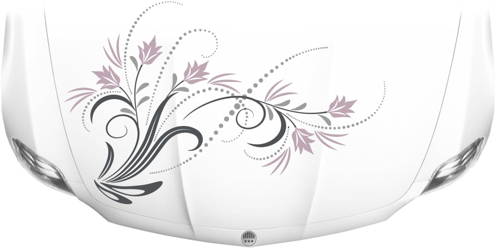 Bunter Motorhaubenaufkleber mit Ranke und Blumenornament
