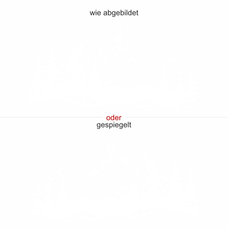 Motorhaubensticker Vögel im Hochgebirge - Ansicht Ausrichtung und Farbauswahl