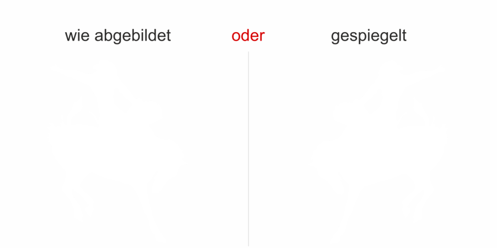 Rodeo Motorhauben Aufkleber
