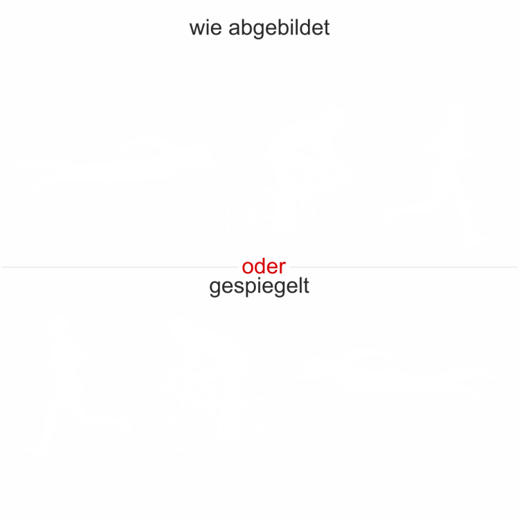 Triathlonaufkleber Heckscheibe