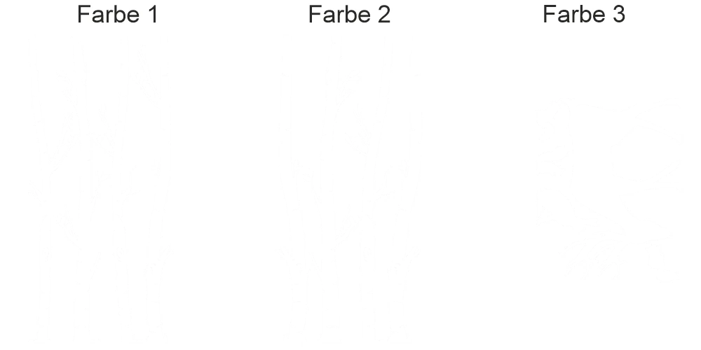 Wohnmobilaufkleber Birkenwald - Ansicht Farbauswahl Wohnmobilaufkleber Birkenwald - Ansicht Farbauswahl