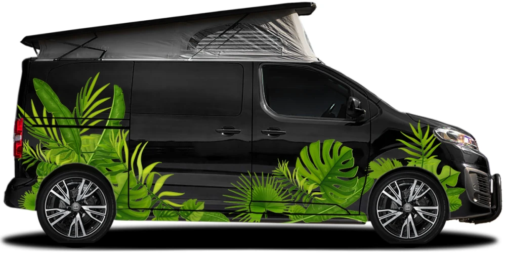 chungel Pflanzen als XXL Set für das Fahrzeug auf dunklem Camper