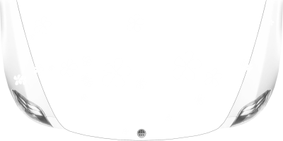 Autofolien Blumen Set auf heller Motorhaube -  Ansicht Farbauswahl