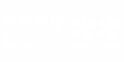 Autofolien Blumen Set - Frei platzierbare Elemente und Farbauswahl
