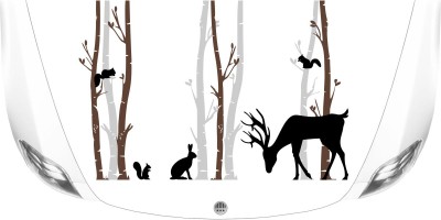 Wohnmobilaufkleber Birkenwald