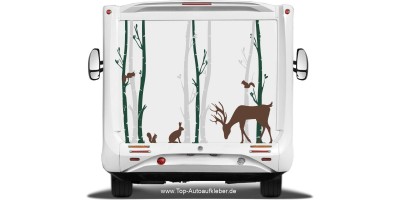 Wohnmobilaufkleber Birkenwald