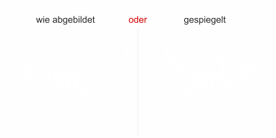 Autoaufkleber Heck Echse