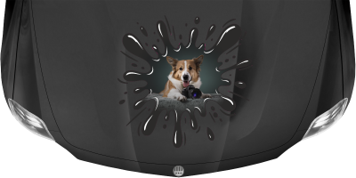 Hunde Aufkleber im Klecks mit eigenem Foto
