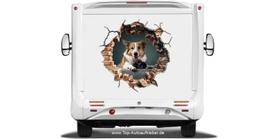 Hunde Aufkleber Loch in der Steinwand mit Eigenem Foto auf dem Heck von Wohnmobil oder Wohnwagen