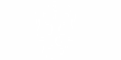 Motorhaubendekor Totenkopf Tribal