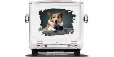 Aufkleber Eigenes Hundebild Fleck auf dem Heck