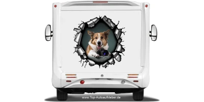 Aufkleber Loch im Metall mit Eigenem Hundefoto auf dem Heck von Wohnmobil oder Wohnwagen