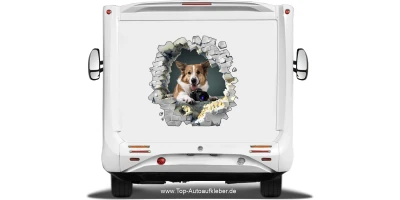 Aufkleber Loch in der Wand mit Eigenem Hundefoto auf dem Heck von Wohnmobil oder Wohnwagen