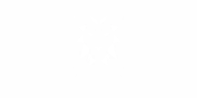 Heckscheibenaufkleber Geometrischer Löwenkopf