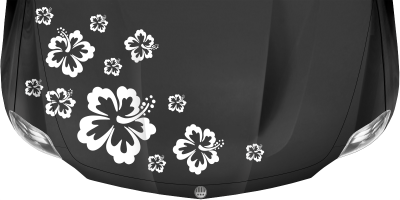 Autoaufkleber Hibiskus Blüten auf dunkler Motorhaube - Ansicht Farbauswahl