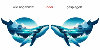 Autoaufkleber Meerdesign Wal - Ansicht Ausrichtung