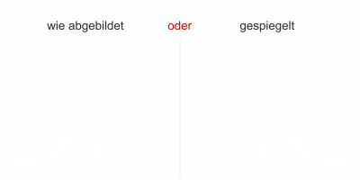 Autoaufkleber Scheibendekor Windsurfing