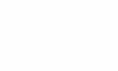 Autoaufkleber Strichzeichnung Bäume | Frei platzierbares Set