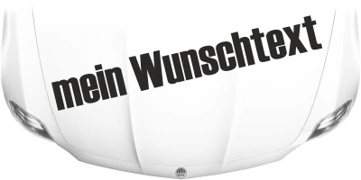 Autoaufkleber Wunschtext | 28