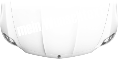 Autoaufkleber Wunschtext | 28