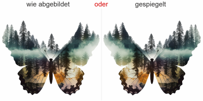 Autodekor Naturdesign Schmetterling- Ansicht Ausrichtung