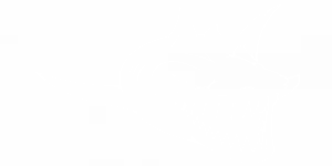 Aufkleber Motorhaube Weißer Hai
